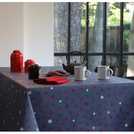 Coupon enduit 50x80cm Etoile denim/rouge