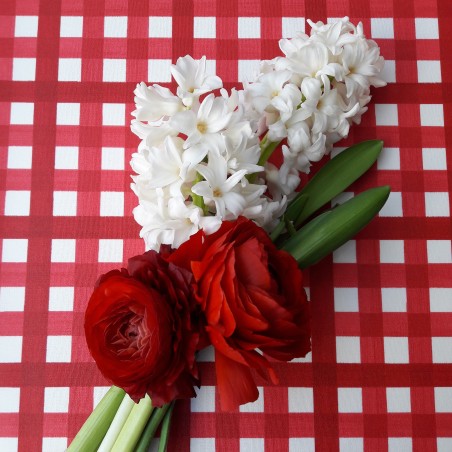 Coupon en coton 50x80cm Guinguette rouge